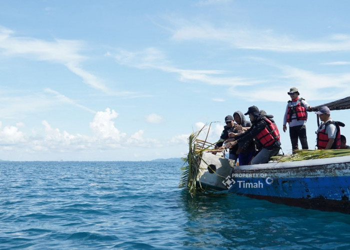 Coral Garden PT Timah: Kolaborasi Rawat Laut yang Hasilkan Ikan, Wisata dan Harapan Baru