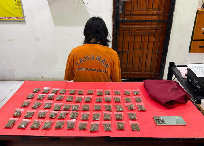 Polres Bangka Barat Tangkap Pengedar Ganja