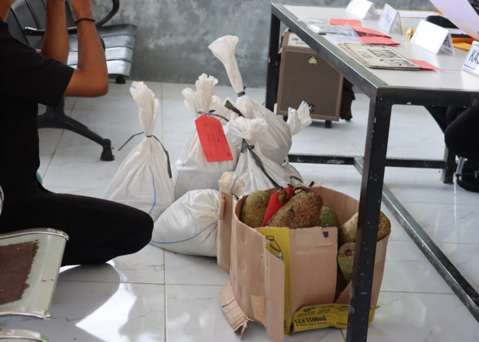 Timah Ditutupi Cempedak Gagal Menyeberang Pelabuhan Mentok