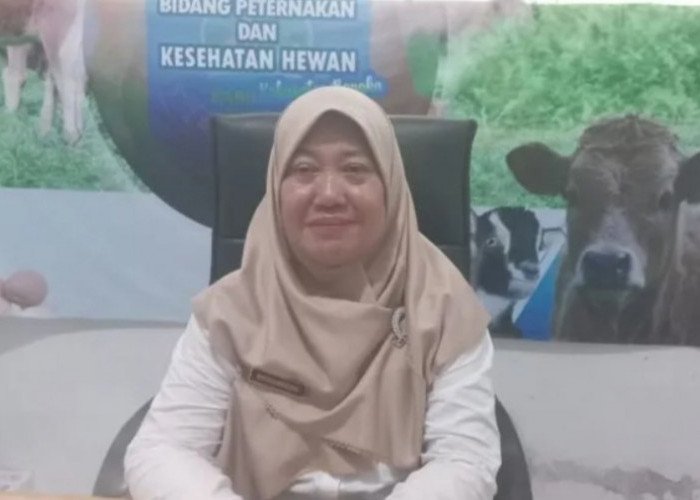 BUMDes Peternakan di Bangka Produksi 23 Ribu Butir Telur Ayam Ras