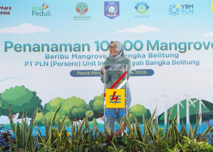 PLN Babel Tanam 10.000 Mangrove di Pantai Penyak, Pulihkan Ekosistem Pesisir Bangka Tengah