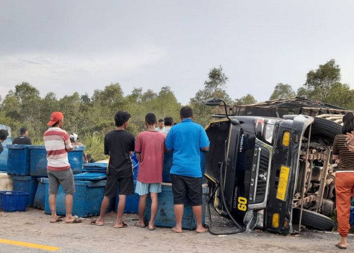 Truk Terguling Tumpahkan Udang ke Jalan, Ini yang Dilakukan Warga 