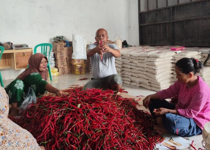 Perkuat Ketahanan Pangan dan Gizi Nasional, BRI Salurkan Pembiayaan Kepada Koperasi Penyuplai Bahan Pangan MBG