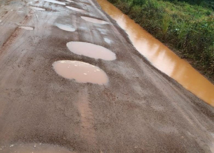 Jalan Pijal Melayu Bagai Kubangan Kerbau, Kades Keposang Akan Panggil Para Pengusaha 