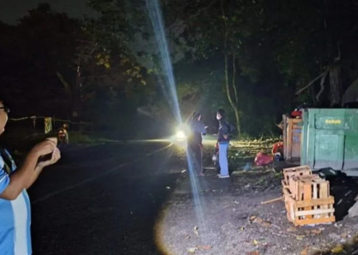 Pengelolaan Sampah di Bangka Dipantau Ombudsman 