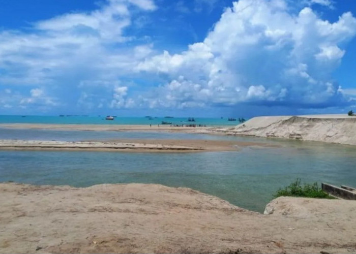 Menyelamatkan Muara Jelitik