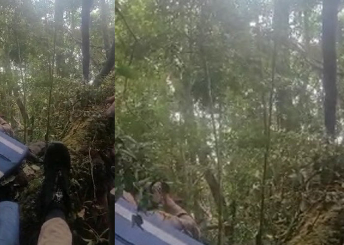 Video Kecelakaan Helikopter yang Ditumpangi Kapolda Jambi