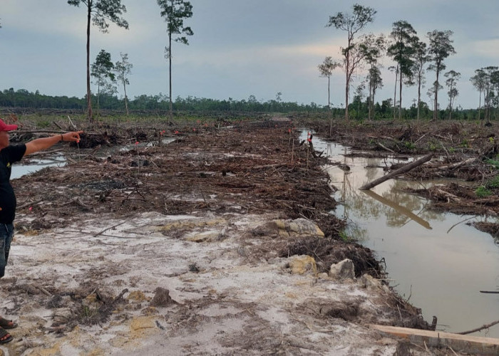Dinas Bersama Pemdes Pergam dan Masyarakat Verifikasi Wilayah Resapan Air, Ada Warga Klaim Atas Lahan Rawa 