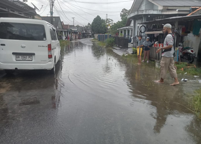 Anggota DPRD Bangka Yus Rizal Tinjau Warga Terdampak Banjir Rob, Soroti Normalisasi Kanal & Restorasi Mangrove