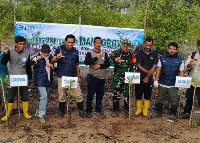 Mangrove untuk Pesisir Berkelanjutan, PT Timah Kembali Tanam Ribuan Mangrove di Desa Sawang Laut 