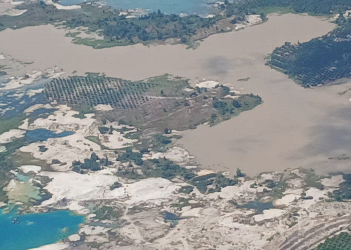 Tambang Ilegal Menjarah 14 Persen Kawasan Hutan Lubuk Besar, Siapa yang Menikmati?