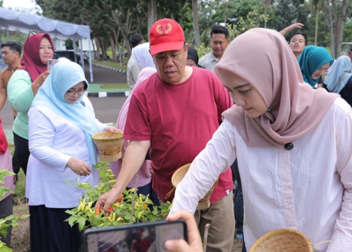GENCAR Membuahkan Hasil, Bukti Komitmen Gubernur Hidayat Arsani Sukseskan Program Ketahanan Pangan