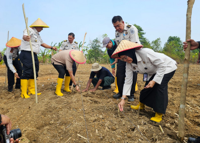 Direktur SSPP Ditjenpas Apresiasi Pengembangan Lahan Perkebunan Terpadu Lapas Pangkalpinang