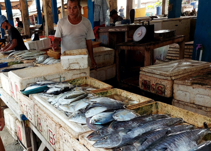 Diminati Nelayan, Registrasi Resi Gudang Komoditas Ikan Meningkat Tajam