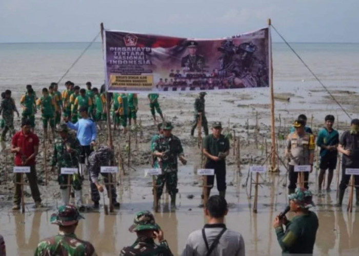 HUT Ke - 79 TNI, Kodim 0431/Bangka Barat Ajak Forkopimda Tanam Mangrove di Teluk Rubiah