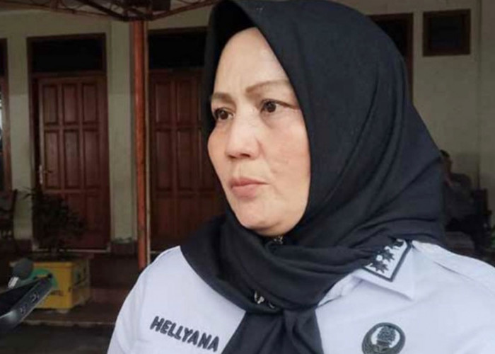 Cerita Miris Wagub Babel Jual Mobil Pribadi Demi Tugas, Hellyana Kerja Tanpa Walpri dan Ajudan