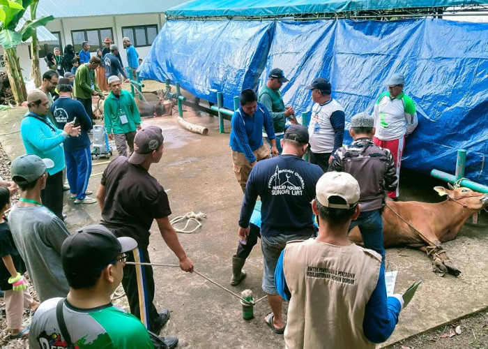 Masjid Agung Sungailiat Salurkan Ribuan Paket Daging 