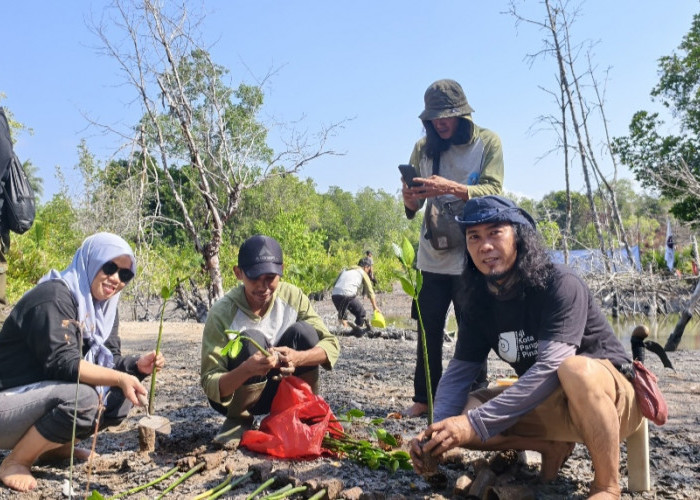 Kolaborasi AJI Pangkalpinang dan Komunitas Lingkungan, Tanam Mangrove di Eks Tambang DAS Hakok