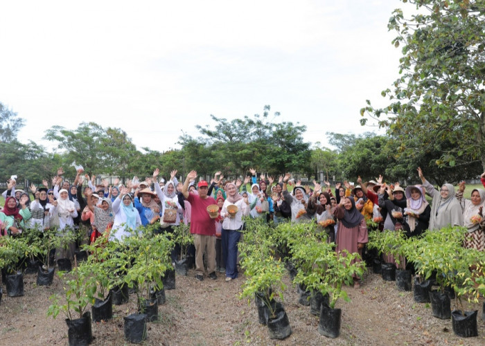 Gubernur Hidayat Arsani Dorong Pengendalian Inflasi melalui Gerakan Tanam Cabai