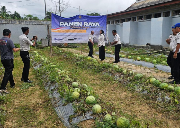 Khasiat Kompos Lapas Pangkalpinang Teruji, Hasilkan Panen 231 Kilogram Semangka