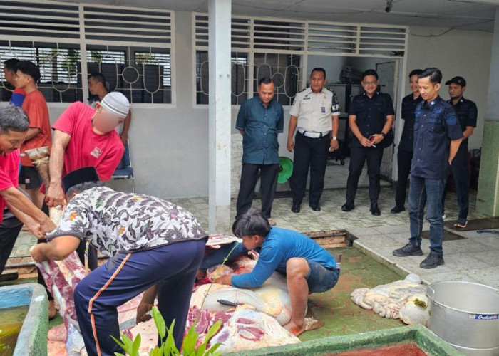 Keikhlasan Iduladha 1447 H, Lapas Pangkalpinang Kurbankan Tujuh Sapi dan Satu Kambing