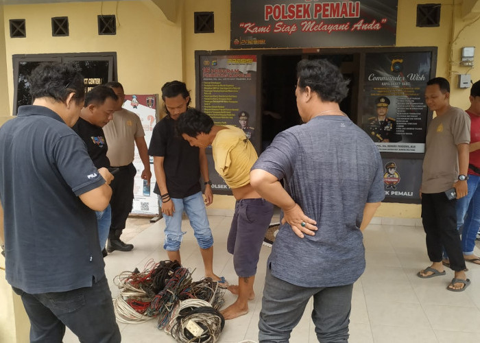 Curi Kabel di Kandang Babi, RD Diciduk Polisi