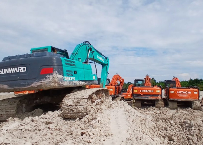 Selain Her, Ini Sederet Nama Cukong yang Menyulap Hutan Nadi dan Sarang Ikan Jadi Tambang