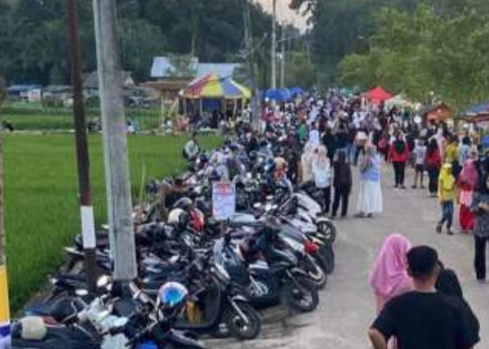 Wisata Pelangi Sawah Desa Namang Jadi Magnet Baru, Bupati dan Wabup Tinjau Langsung