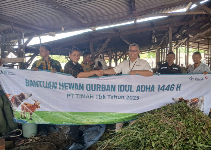 Pererat Silaturahmi, PT Timah Tebar Ratusan Hewan Kurban di Empat Provinsi 