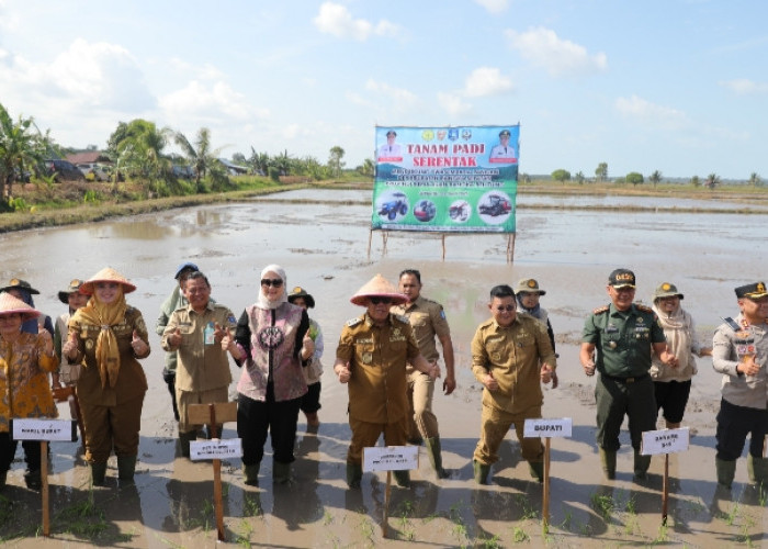 Gubernur Hidayat Arsani Optimis Modernisasi Pertanian Wujudkan Kemandirian Pangan Babel 