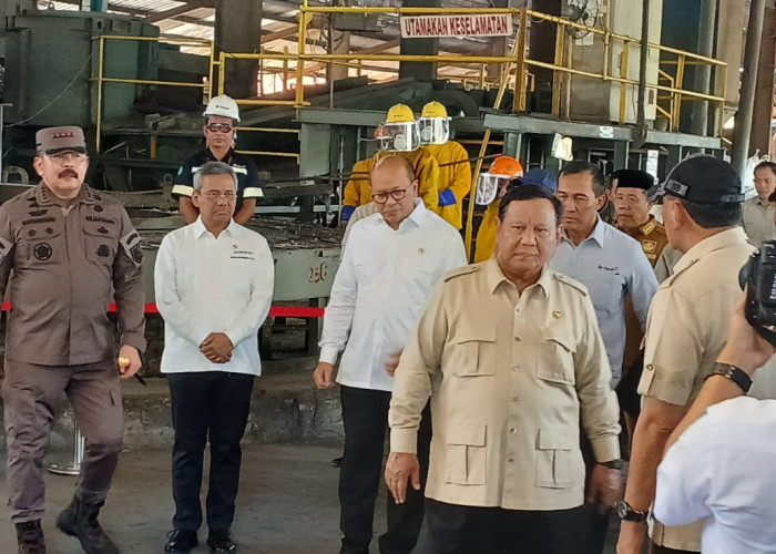 Tak Hanya Aset Korupsi Timah, Presiden Prabowo juga Diserahkan Lahan Kawasan Hutan