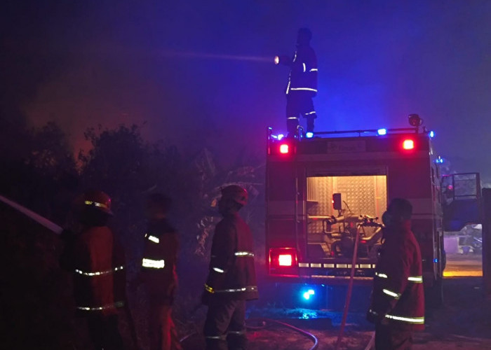 PT Timah Tbk Kerahkan Tim Fire and Rescue untuk Membantu Tangani Kebakaran Lahan Gambut di Kota Pangkalpinang 