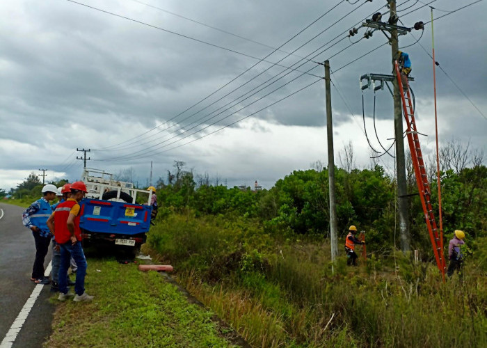 PLN UP3 Bangka Gelar Care For Asset: Tingkatkan Keandalan Jaringan dan Cegah Potensi Bahaya