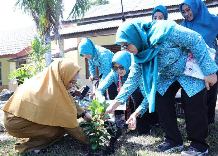 Pohon Butun jadi Simbol Pengingat Kunjungan Noni Hidayat ke SMAN 1 Sijuk