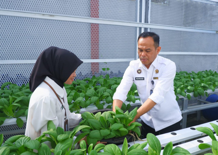 Transformasi Pembinaan Berkelanjutan di Lapas Narkotika Pangkalpinang, Inilah Capaian Kinerja 2025