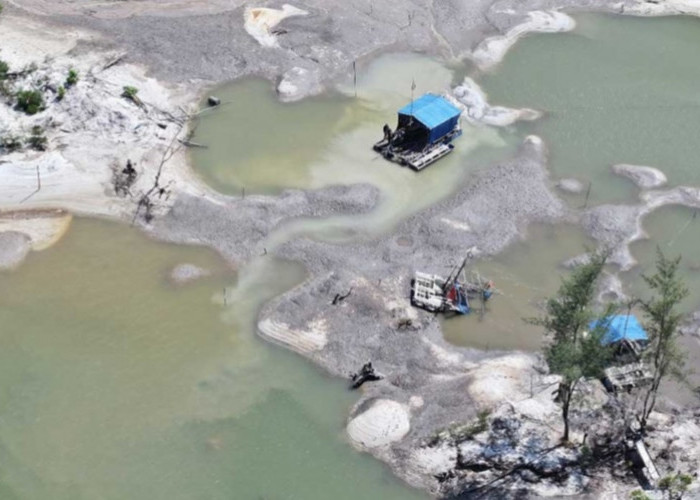 PT Timah Boleh Beli Timah Rakyat Belitung, AMPEBE Minta Asal Tambang Dipastikan Legal