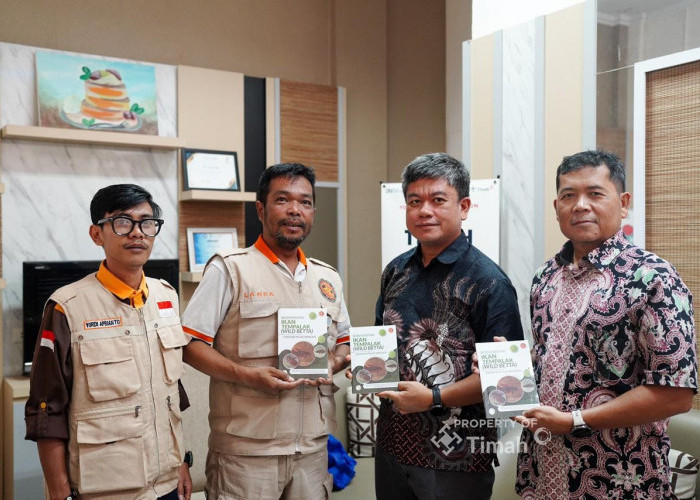 PT Timah Gandeng The Tanggokers Lestarikan Ikan Endemik Bangka