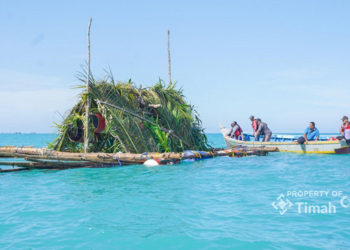 Tenggelamkan 1.434 Rumpon, Langkah Nyata PT Timah dalam Membangun Fishing Ground Berkelanjutan