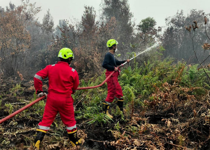 PT Timah Kerahkan Personel Fire Fighter Bersama Grup MIND ID Tangani Karhutla di Kalimantan Barat 