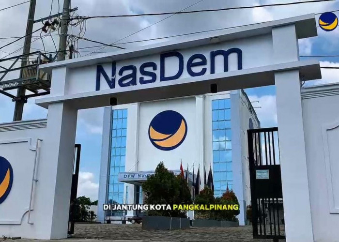 NasDem Babel Dukung Investasi, Tegaskan Bakal Kawal Kewajiban Plasma Perusahaan Sawit