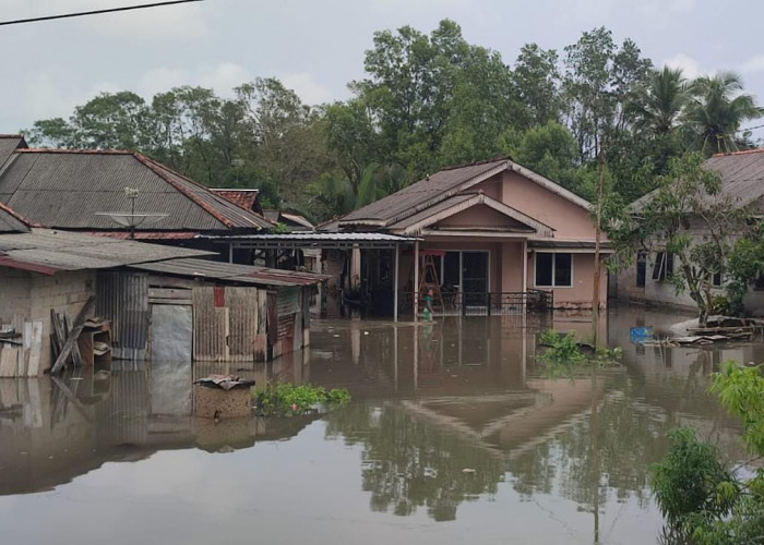 Lingkungan Air Hanyut & Pesisir Sungailiat Teredam Banjir, Warga Minta Bantuan Pemkab