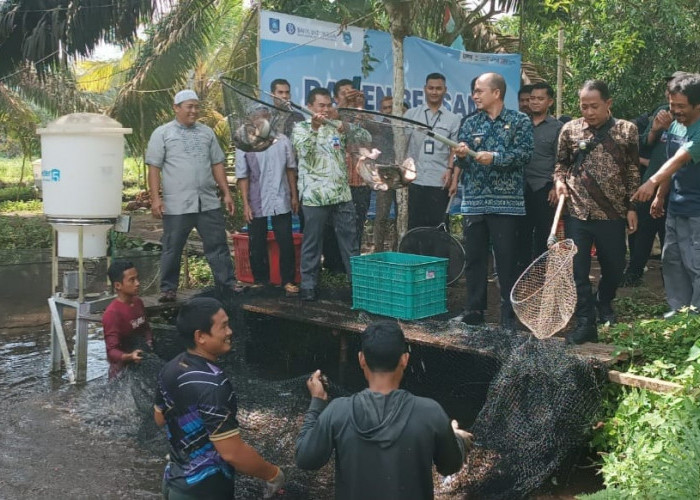 Modal 22 Juta, Sekali Panen Untung 9 Juta, Budidaya Ikan Air Tawar Menjanjikan