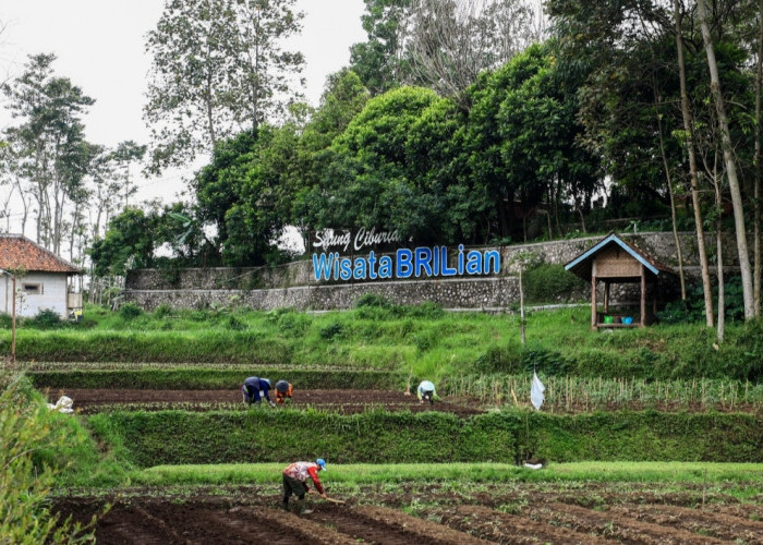 Jangkau 5.245 Desa BRILiaN, BRI Perluas Dukungan bagi Pengembangan Ekonomi Desa