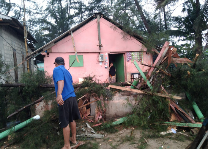 Angin Ribut di Batu Belubang, 4 Rumah Rusak, Pohon Tumbang 