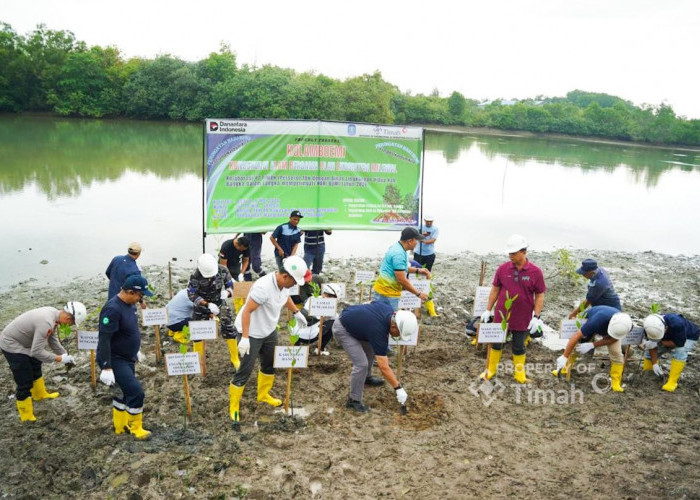 Kolaborasi PT TIMAH, Pemkab Bangka dan Warga Ubah Kolong AKHLAK Jadi Kawasan Produktif