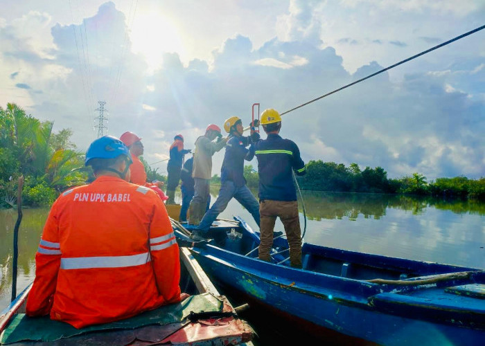 Aksi Sigap PLN Babel: Pemeliharaan Jalur SUTT Suge–Dukong Perkuat Kontinuitas Kelistrikan Belitung