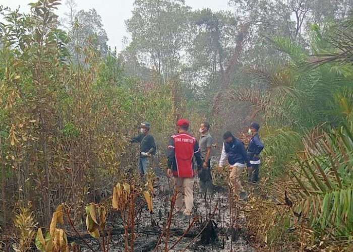 Puluhan Hektare Taman Nasional Maras Terbakar, Petugas Upayakan Pemadaman