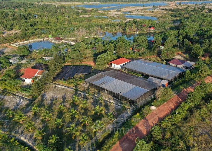 Dari Reklamasi hingga Mangrove, PT Timah Tbk Dorong Pemulihan Lingkungan Berkelanjutan