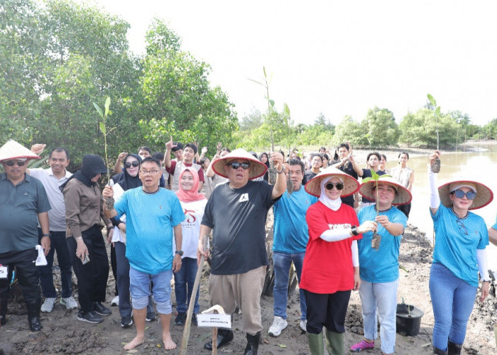 Gubernur Hidayat Arsani Pimpin Aksi Sosial dan Penanaman Mangrove di Pesisir Pantai Ketapang