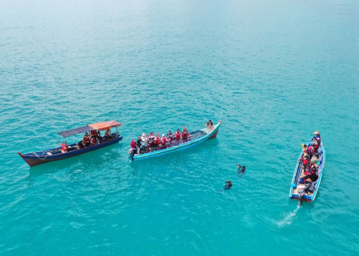 Coral Garden, Upaya PT Timah Tbk Menjaga Ekosistem Terumbu Karang dan Mendukung Wisata Bawah Laut 